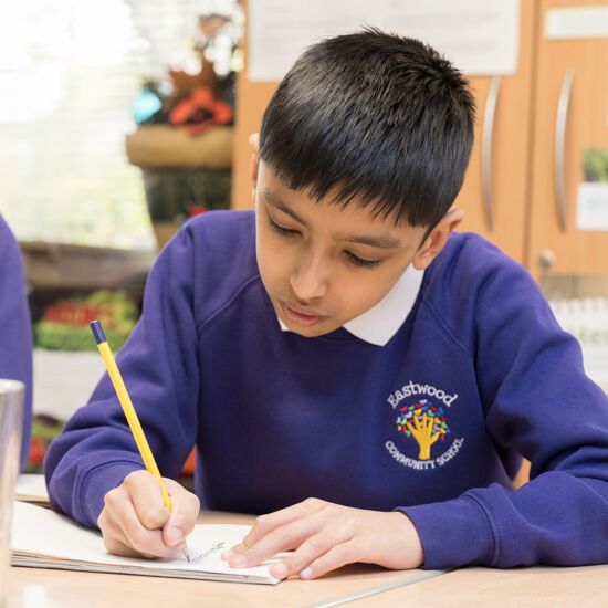 Curriculum Overview